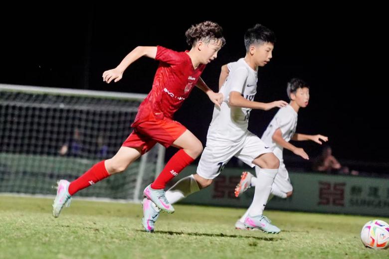 已经成为全, entit 已经成为全, entit