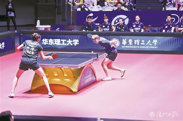 樊振东, 他不仅有数