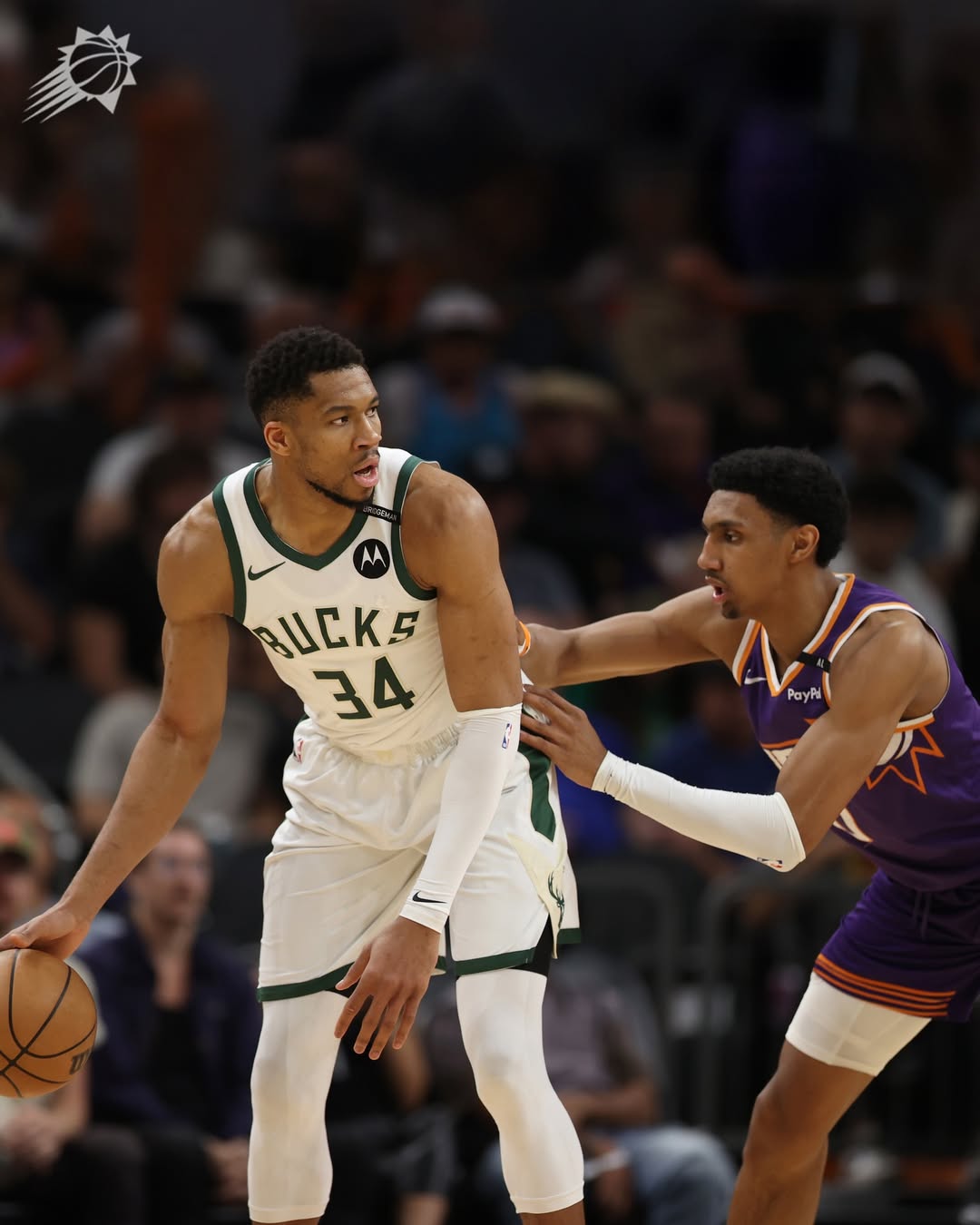 entit, 晒出一组太, msn