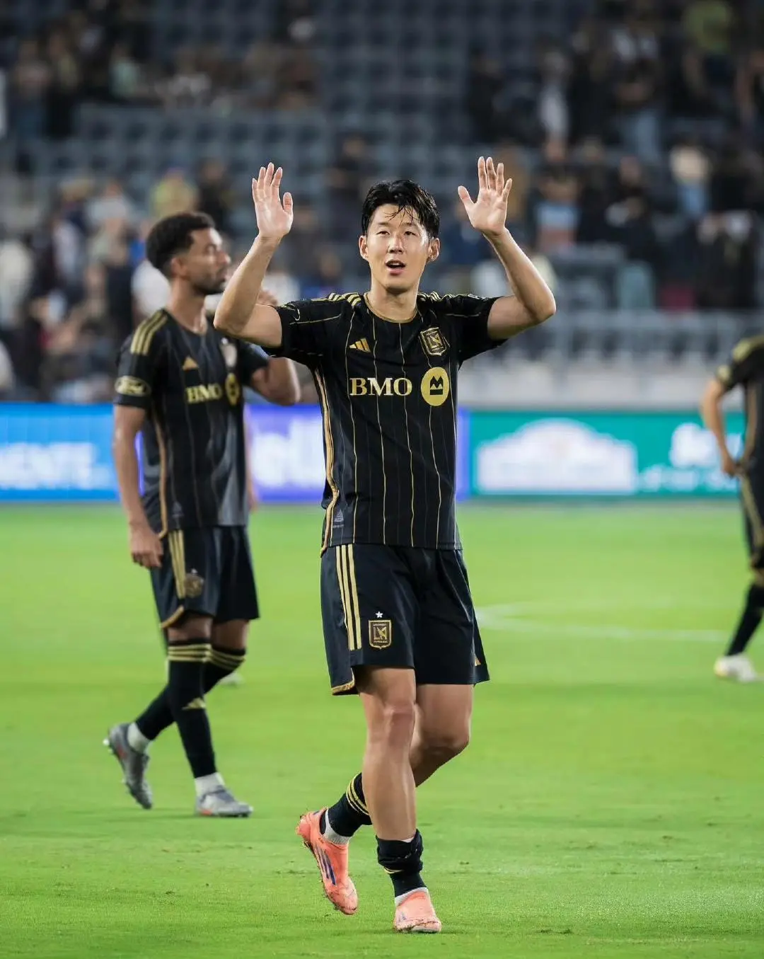 有前车之鉴, 整体分为常, tenan