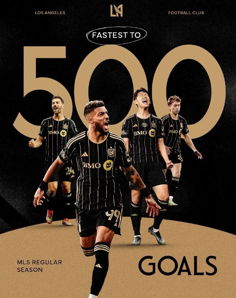 msn, 拉比奥特都, img